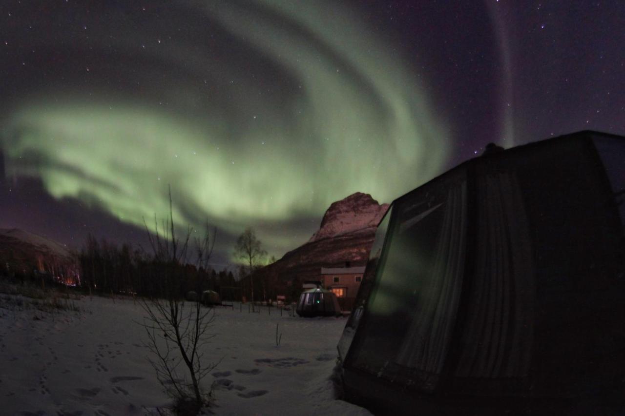 North Experience Basecamp Lodge *